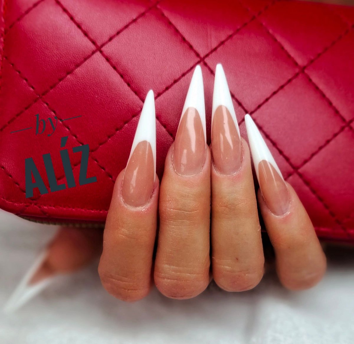 Saru Aliz  munkája 5