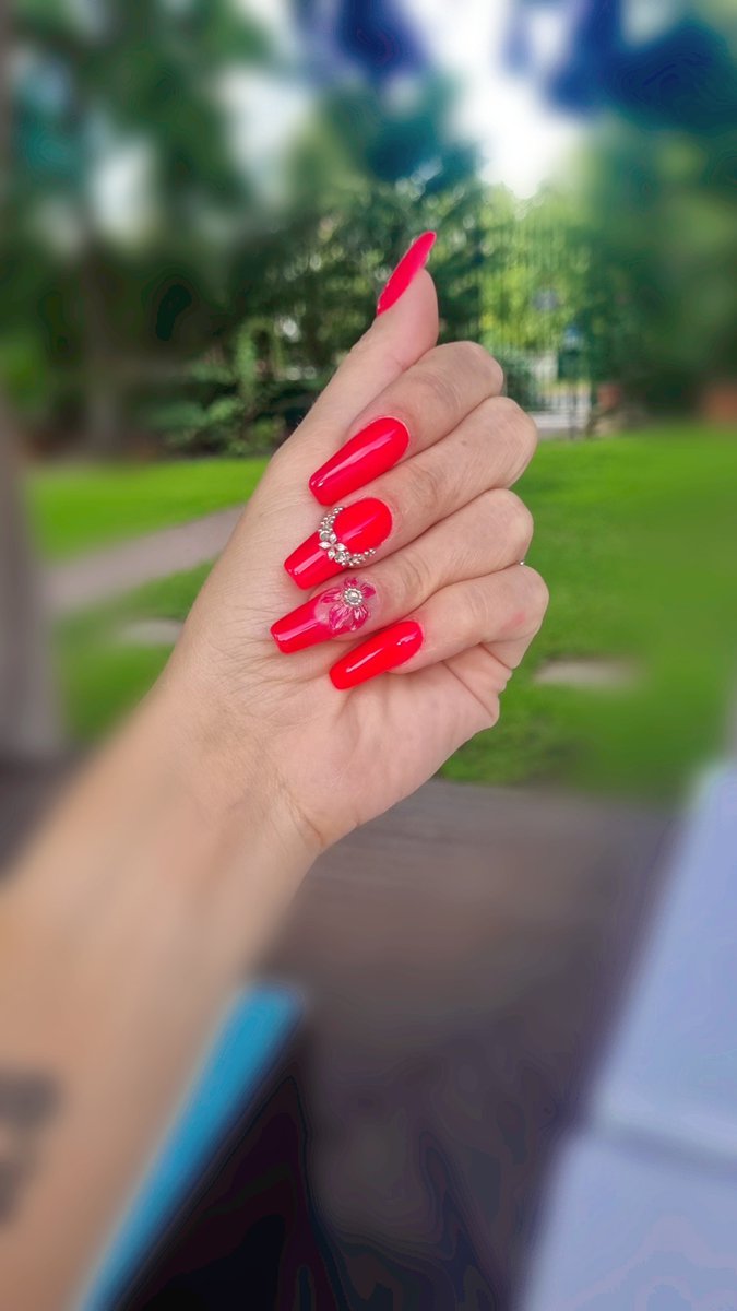 Kovács Veronika  munkája 14