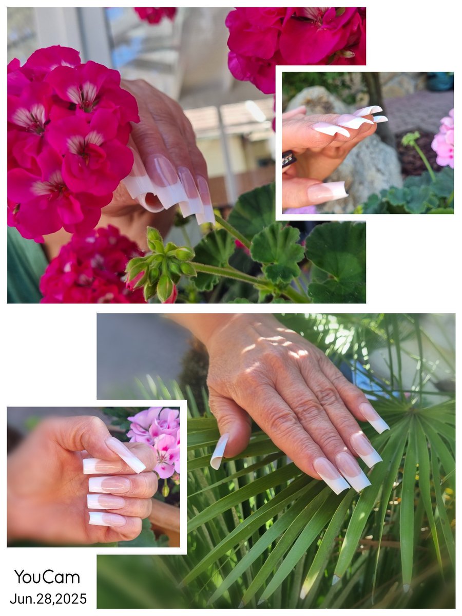 Kovács Veronika  munkája 10