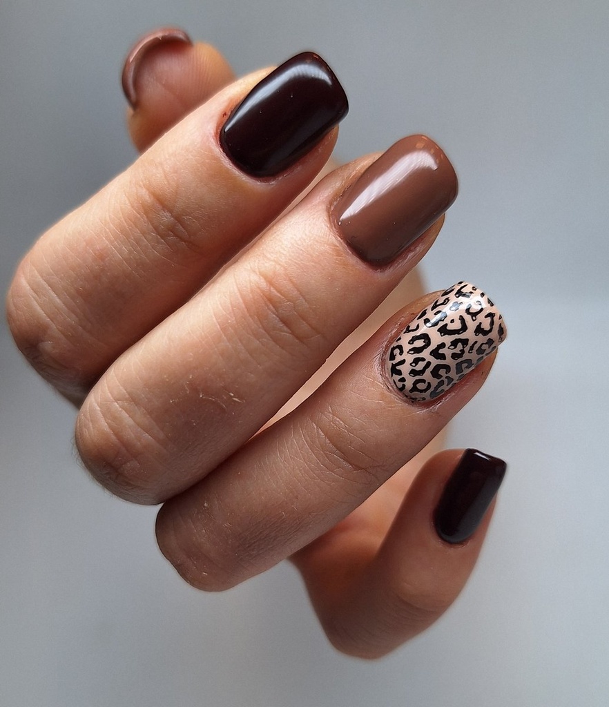 Arany Zsuzsanna  munkája 24