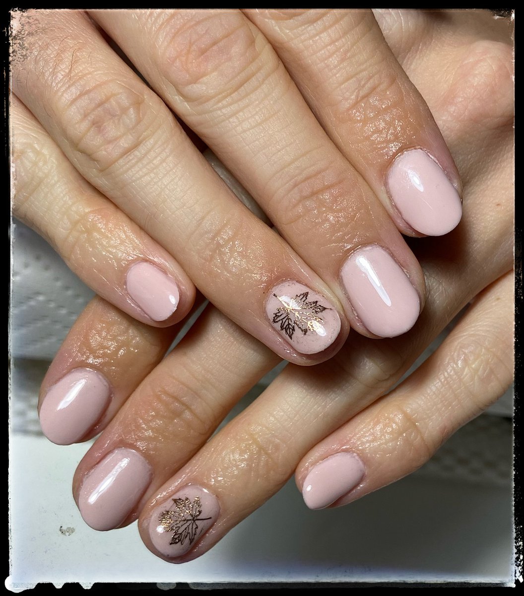 Fegyverneki Judit munkája 9