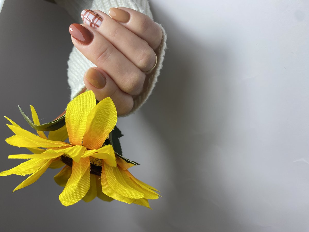 Matyi Hajnalka  munkája 2