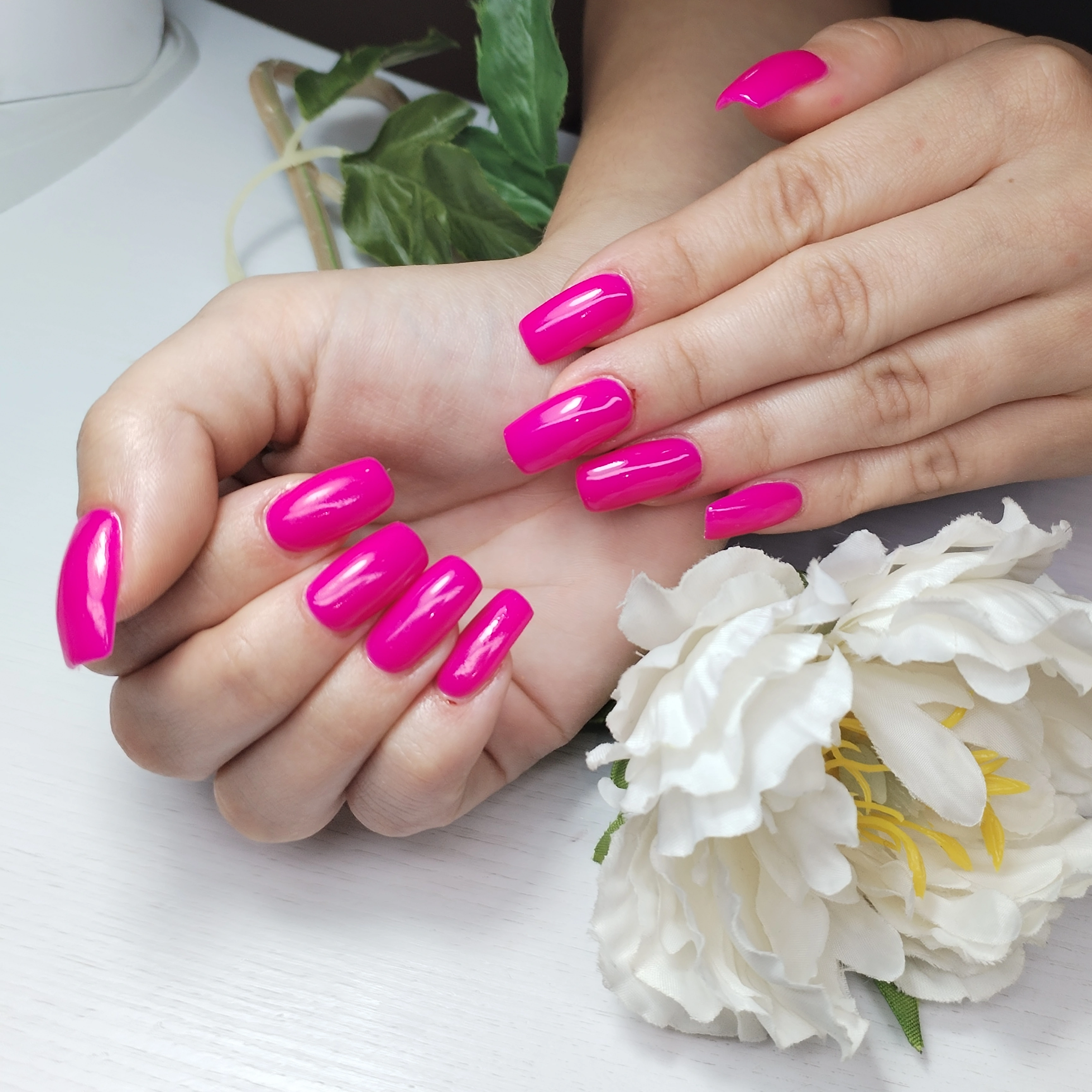 Müller Rita  munkája 19