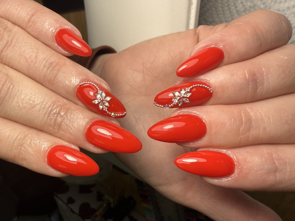 Molnár Zsuzsa munkája 1