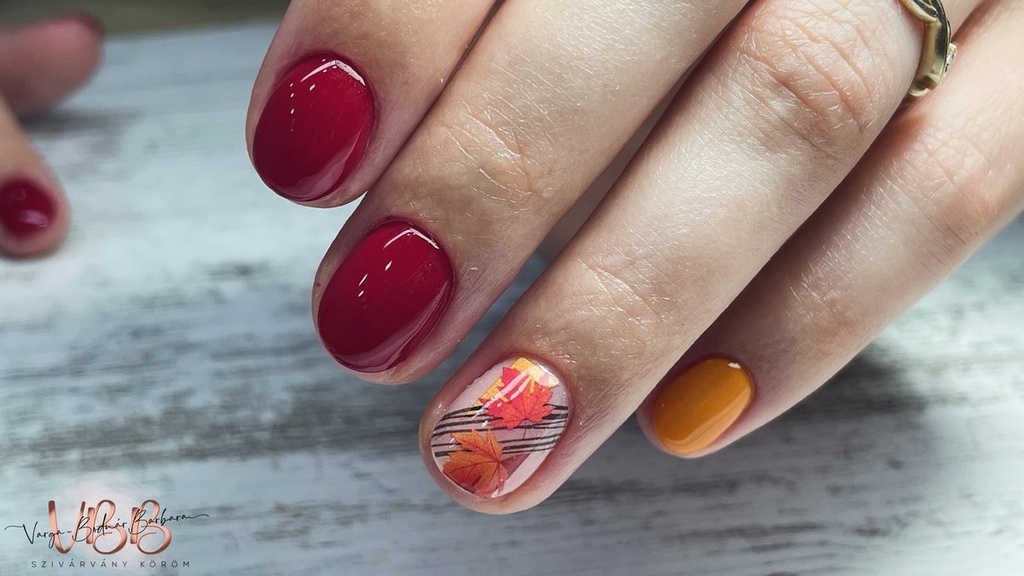 Varga-Bodnár Barbara munkája 8