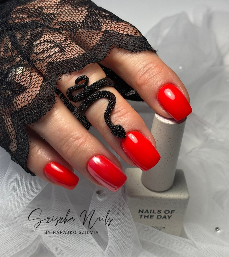 Rapajkó Szilvia munkája 10