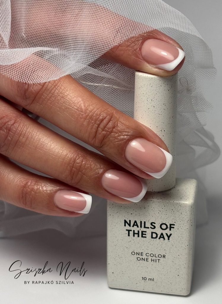 Rapajkó Szilvia munkája 52