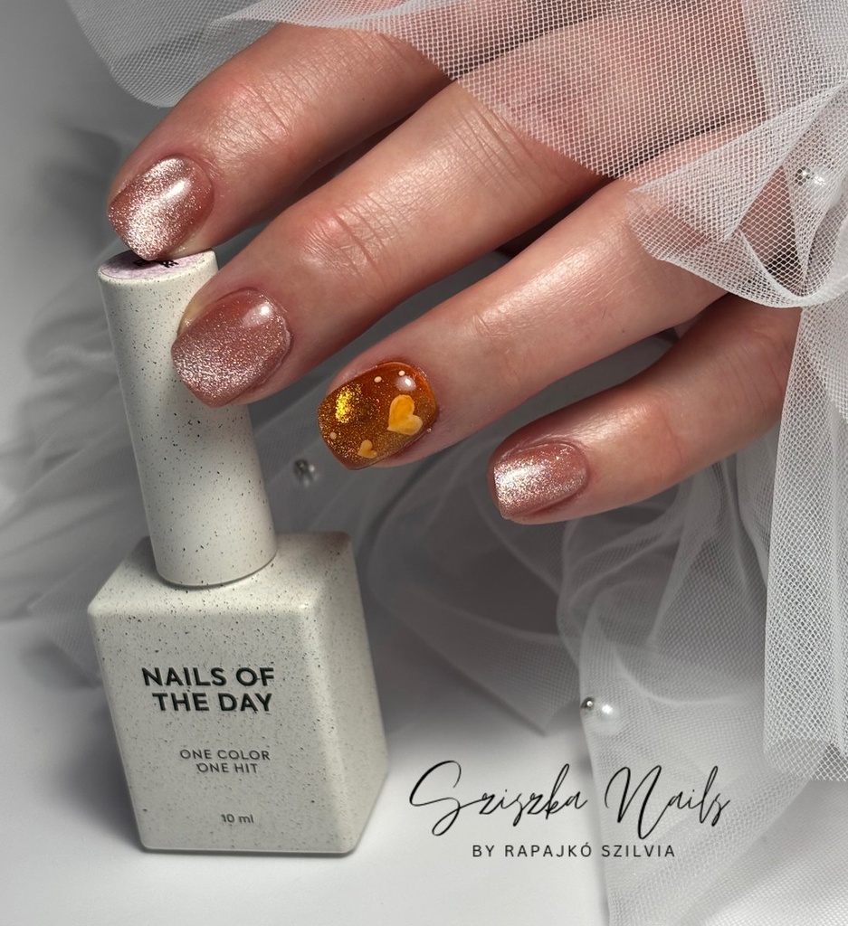 Rapajkó Szilvia munkája 48