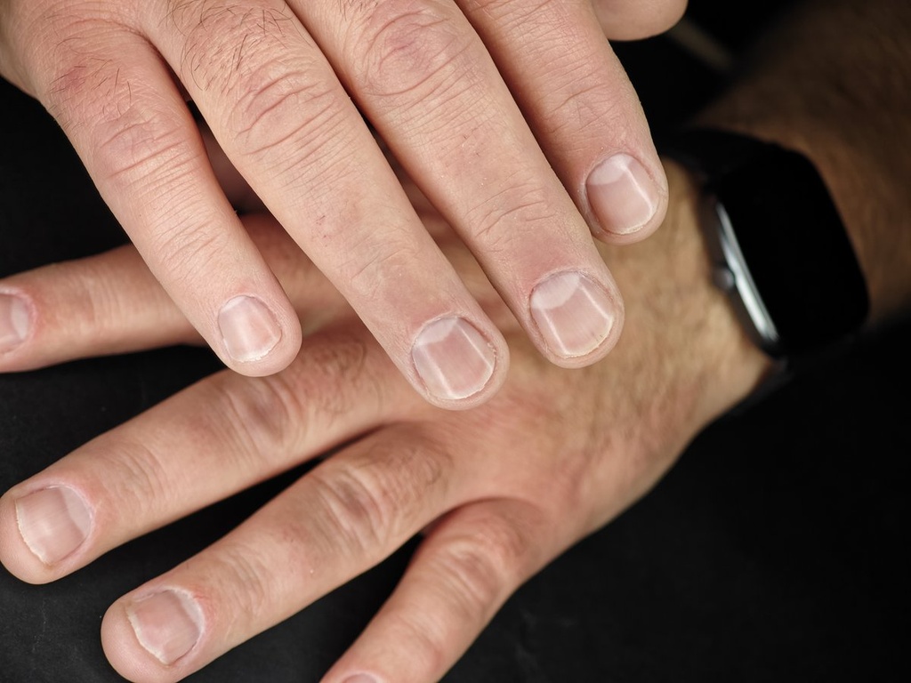 Németh Henriett  munkája 9