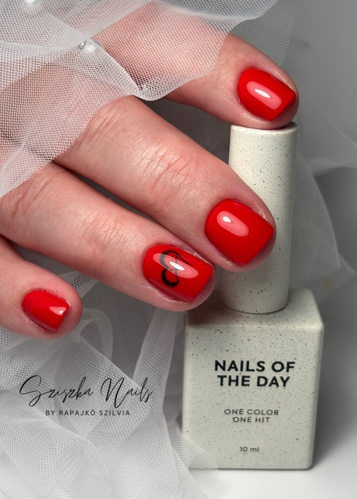 Rapajkó Szilvia munkája 42