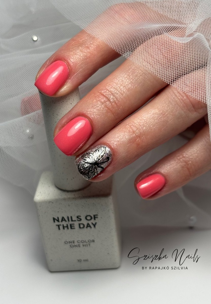 Rapajkó Szilvia munkája 26