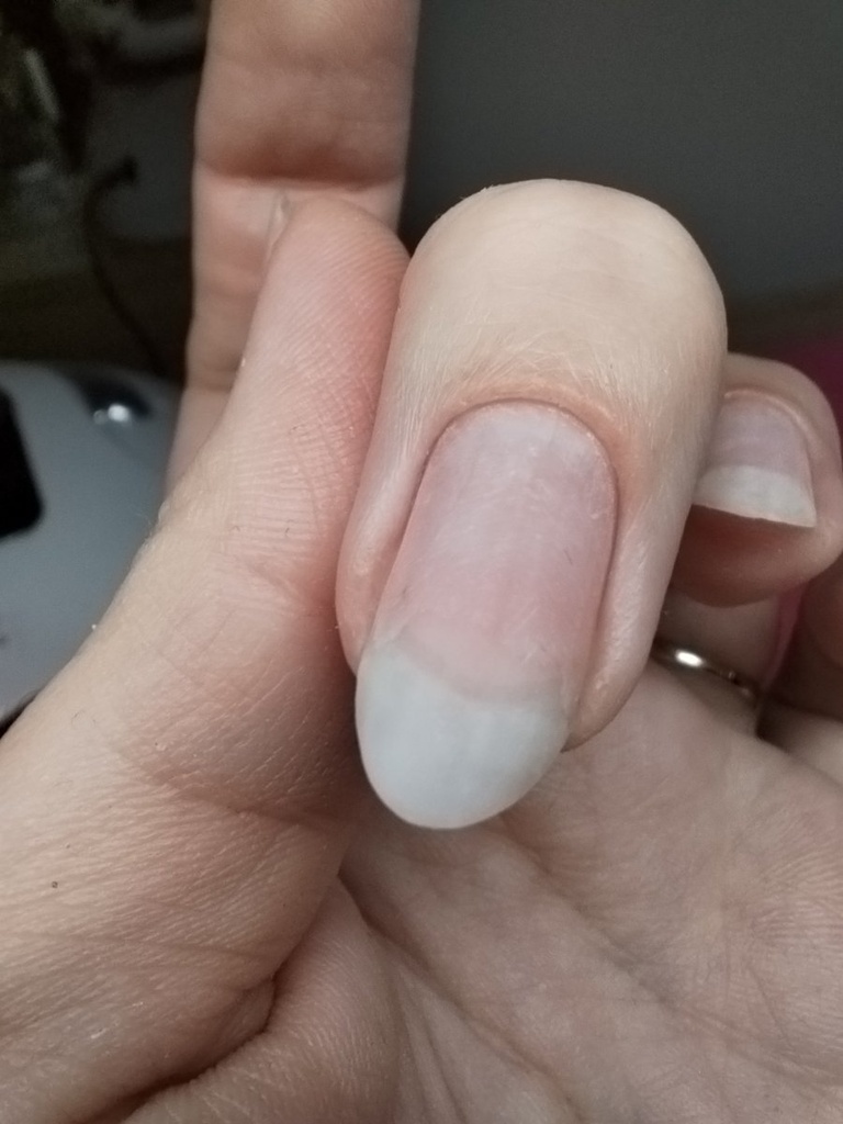 Szabó Viktória munkája 11