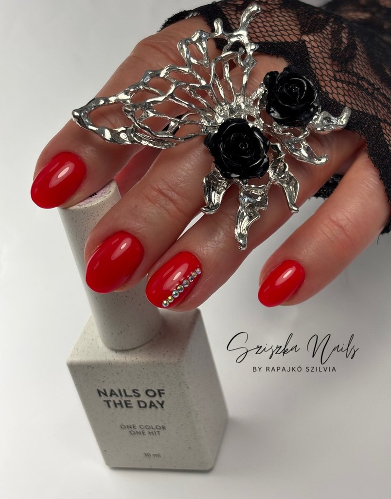 Rapajkó Szilvia munkája 18