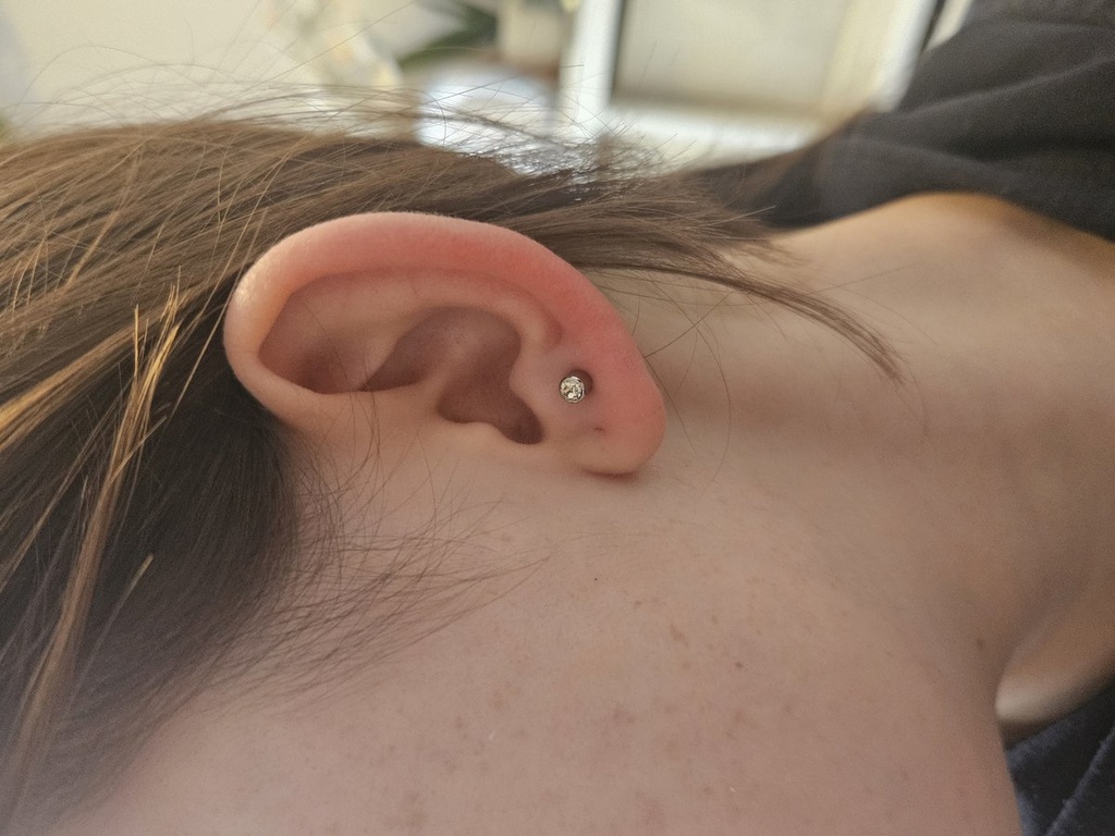 06704032244 munkája 1