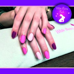 Pál Éva Katalin munkája 11