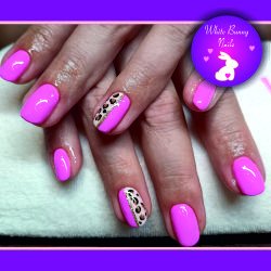 Pál Éva Katalin munkája 8