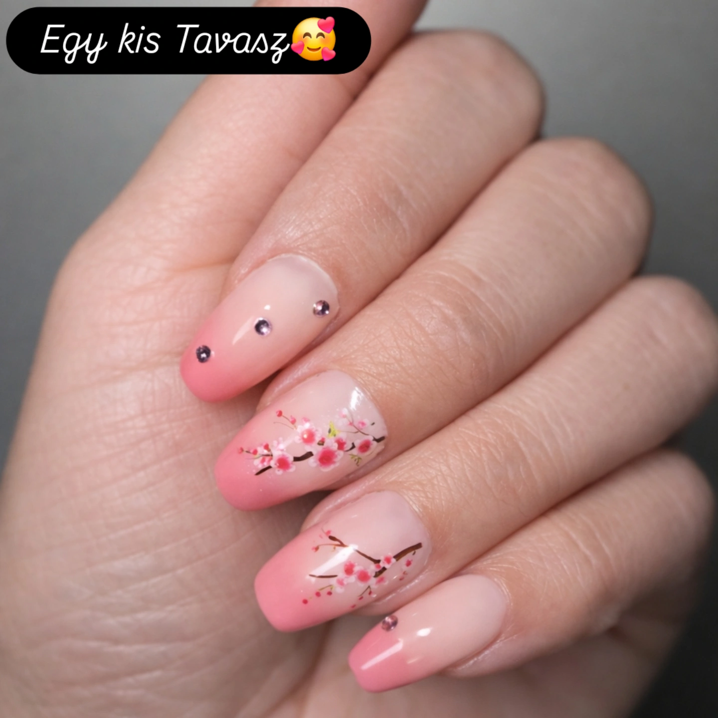 Bogdán Alexandra munkája 2