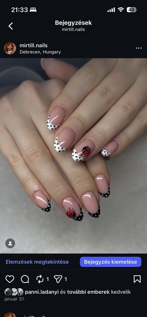 Molnár Mirtill munkája 2